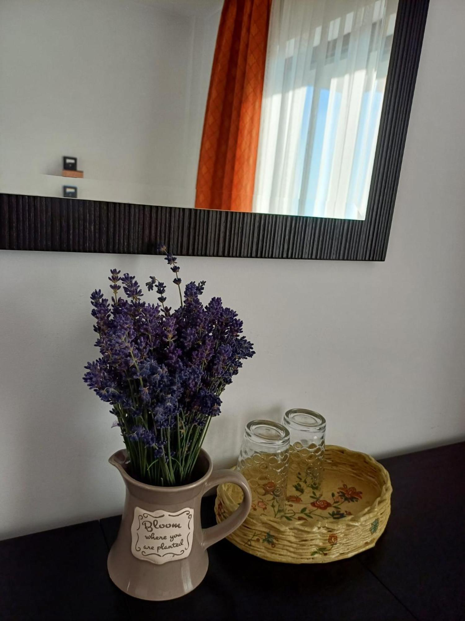 Dragomirna Sunset Hotel Mitocu Dragomirnei Luaran gambar