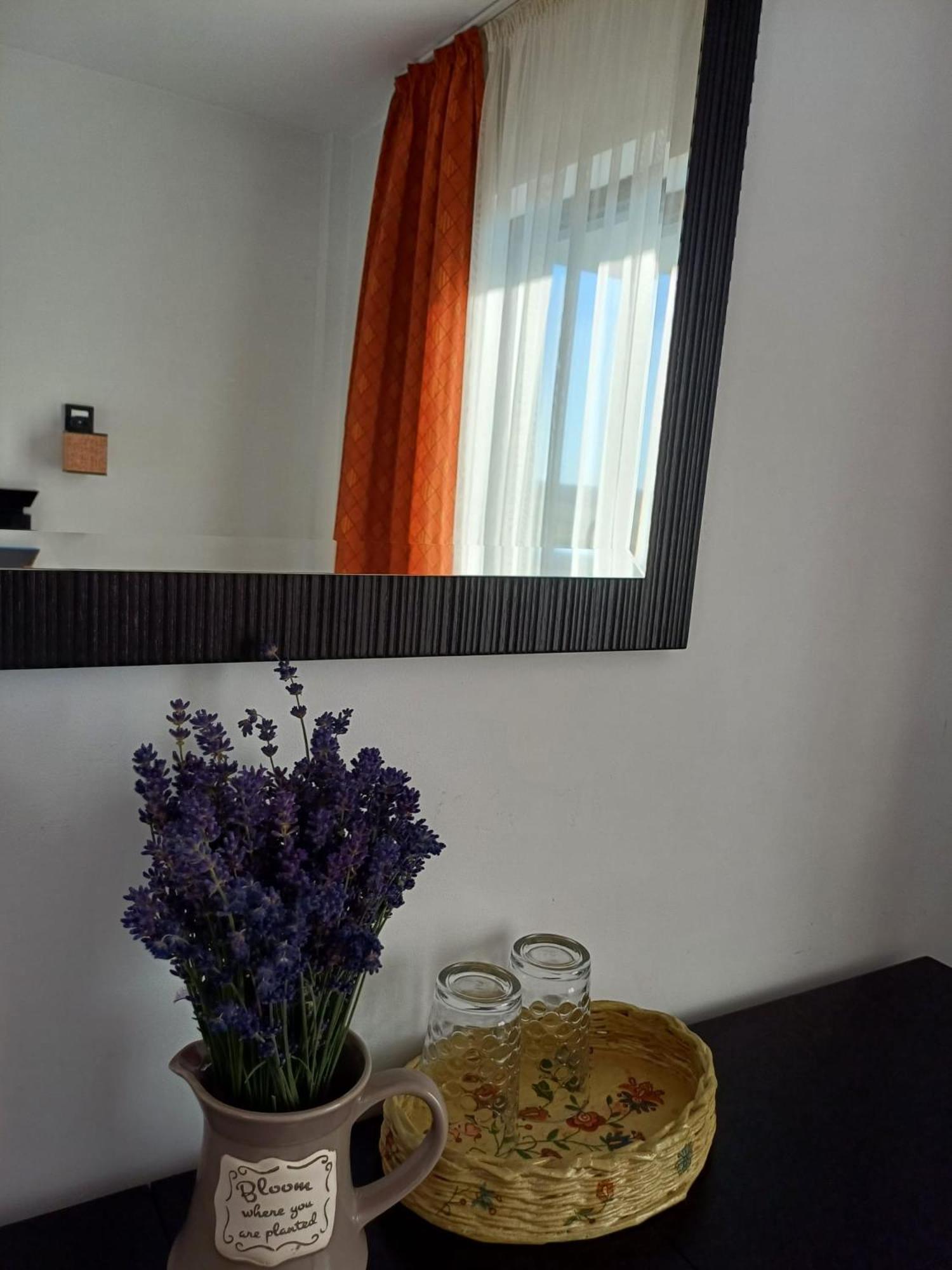 Dragomirna Sunset Hotel Mitocu Dragomirnei Luaran gambar